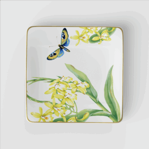 Amazonia Աղցանի ափսե