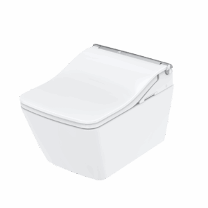 Էլեկտրական զուգարանակոնք