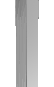 Ցնցուղի ձող